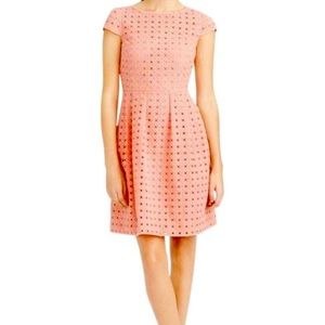 Jcrew Kayla organza eyelet dress *rare*